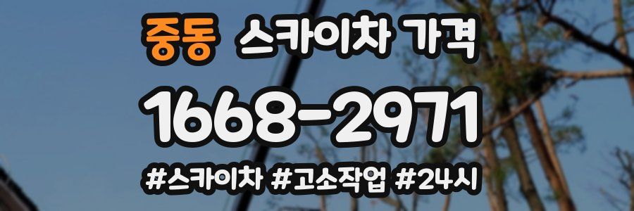 중동 스카이차 가격