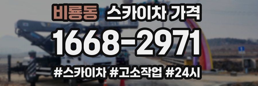 비룡동 스카이차 가격