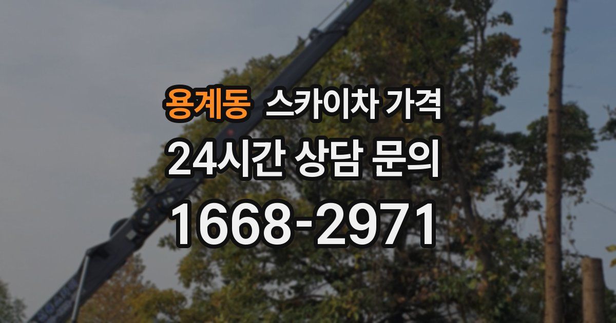 용계동 스카이차 가격