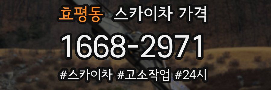 효평동 스카이차 가격