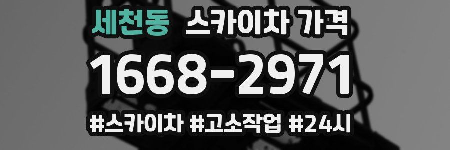 세천동 스카이차 가격