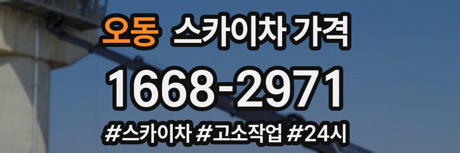 오동 스카이차 가격