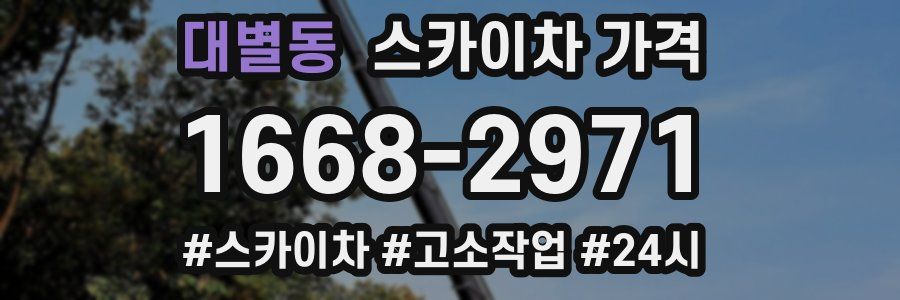 대별동 스카이차 가격