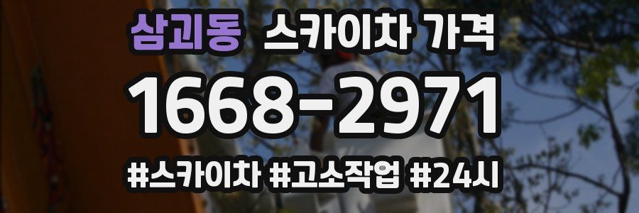 삼괴동 스카이차 가격