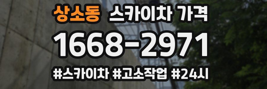 상소동 스카이차 가격