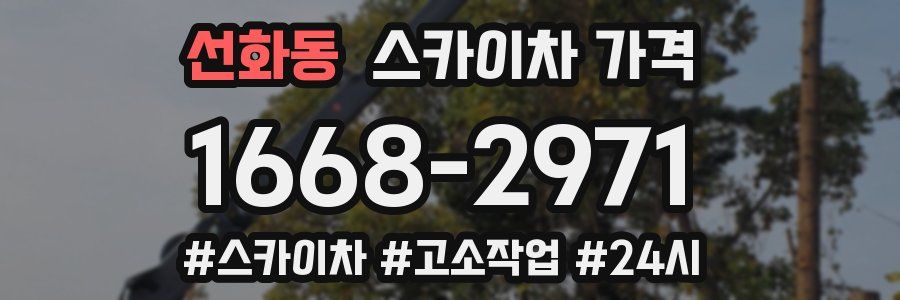 선화동 스카이차 가격