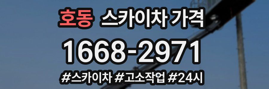 호동 스카이차 가격