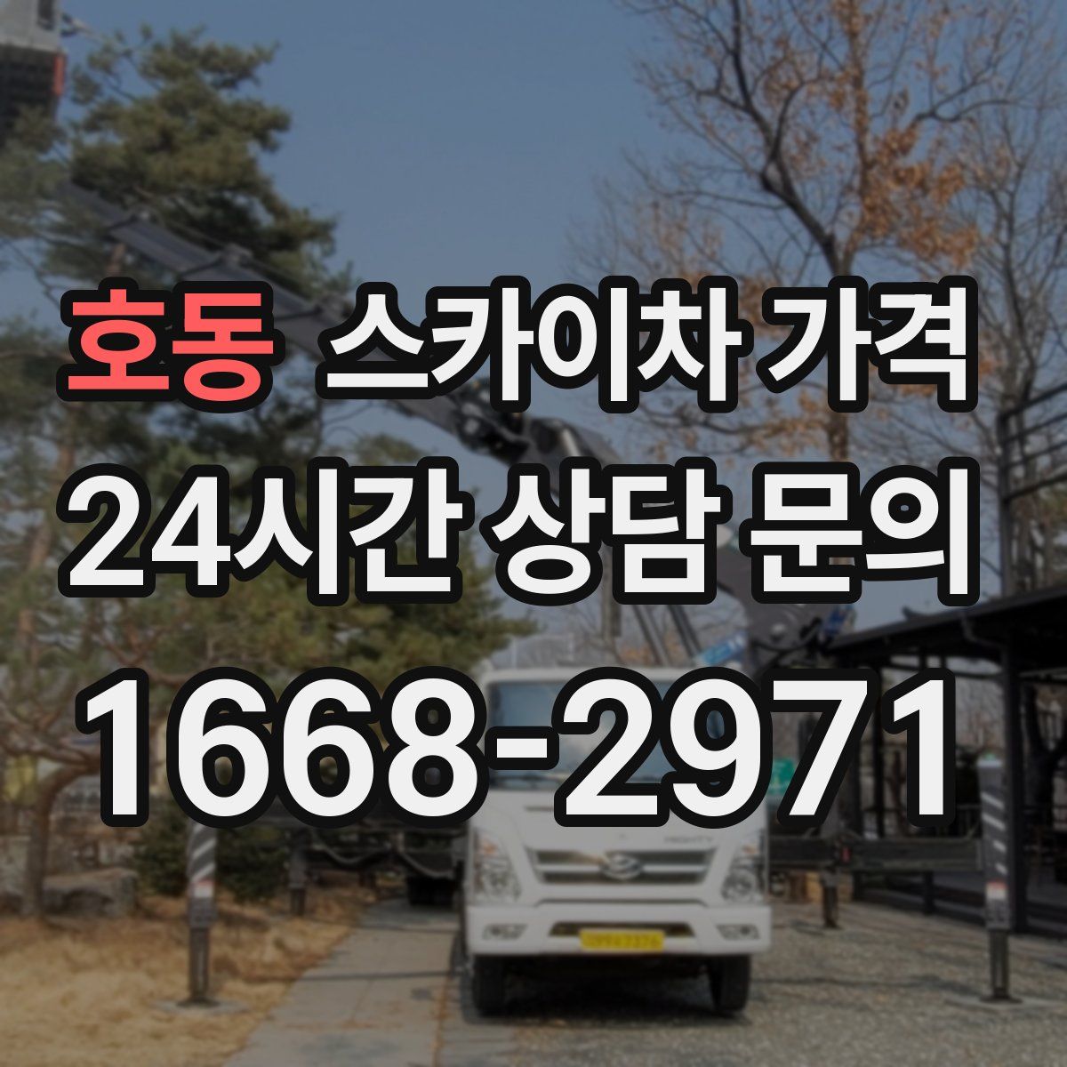 호동 스카이차 가격