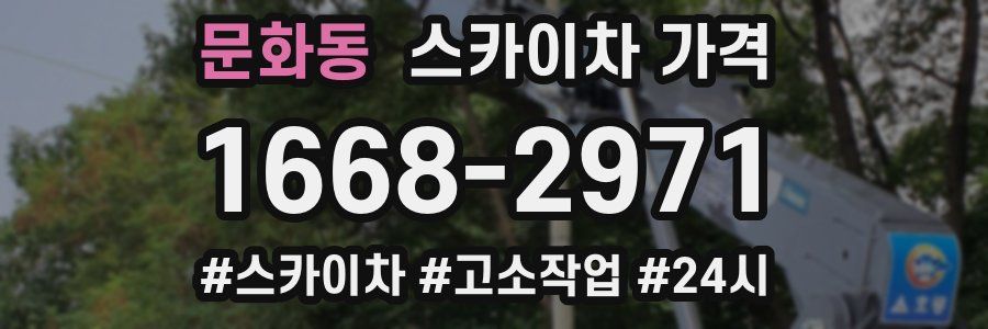 문화동 스카이차 가격