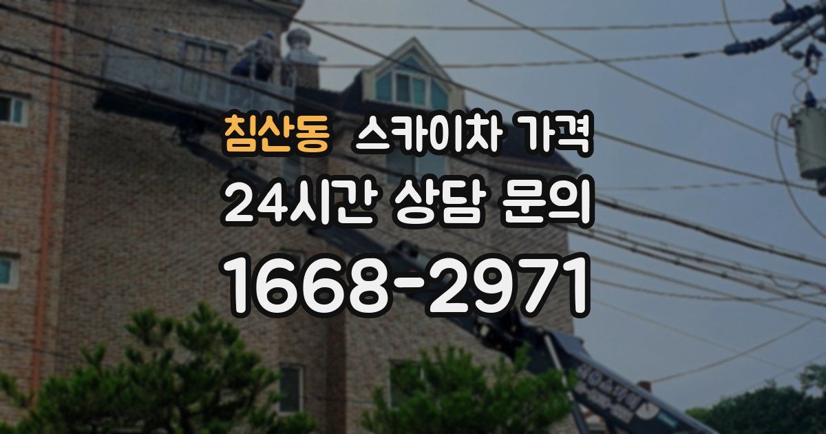 침산동 스카이차 가격