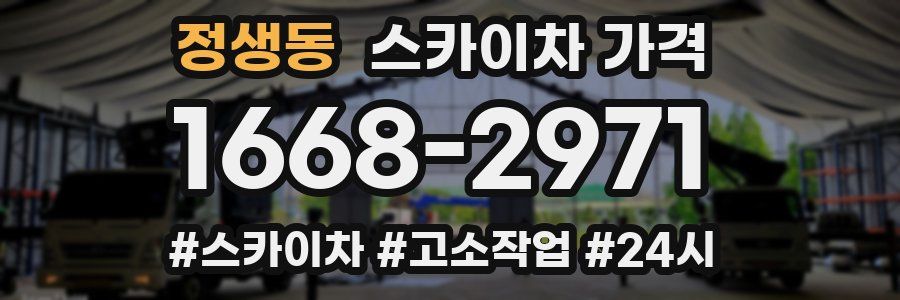 정생동 스카이차 가격