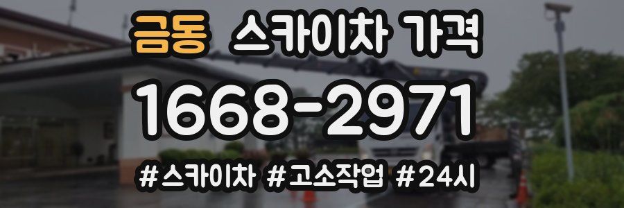 금동 스카이차 가격