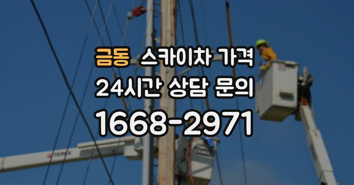 금동 스카이차 가격