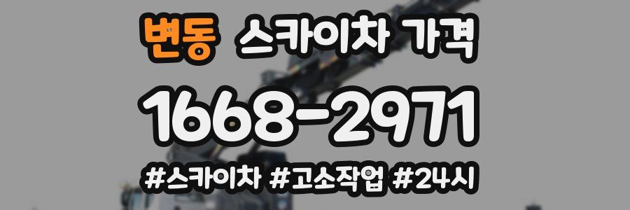 변동 스카이차 가격