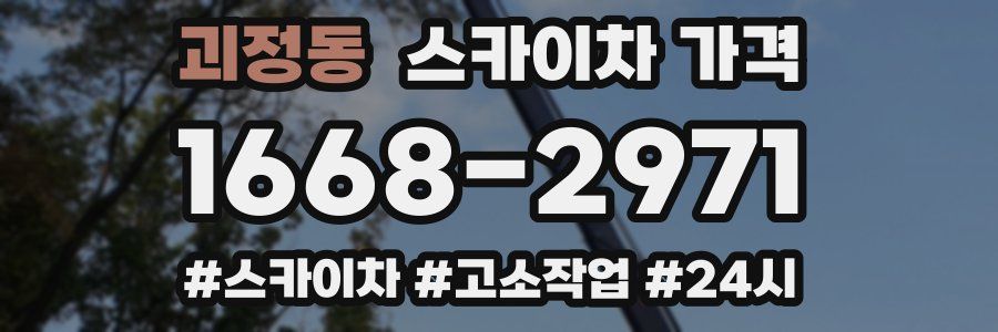 괴정동 스카이차 가격