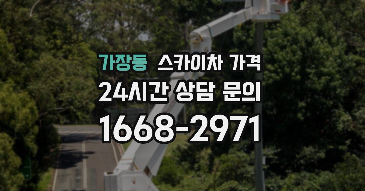 가장동 스카이차 가격