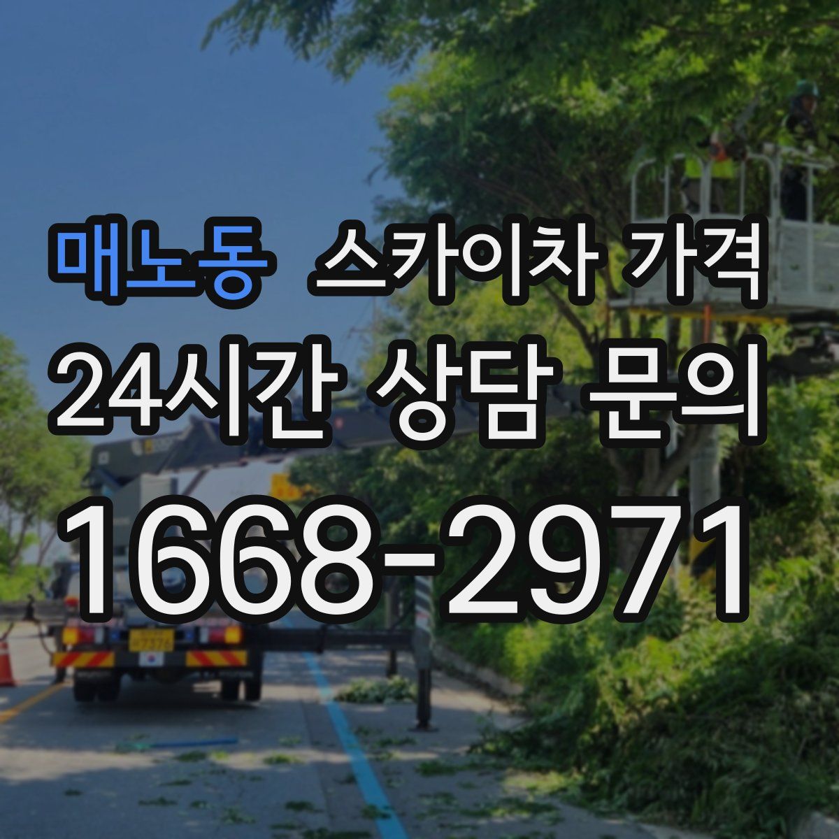 매노동 스카이차 가격