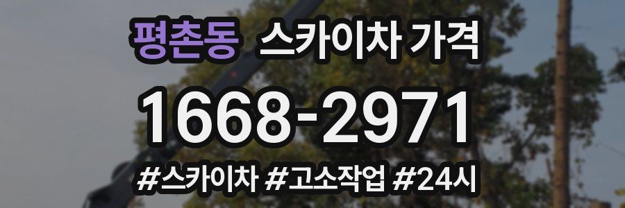 평촌동 스카이차 가격