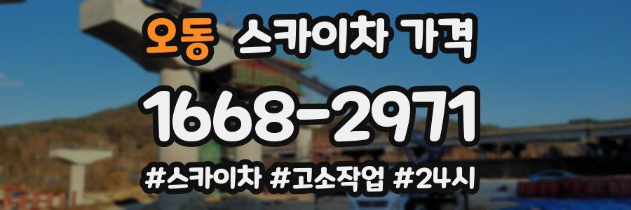 오동 스카이차 가격