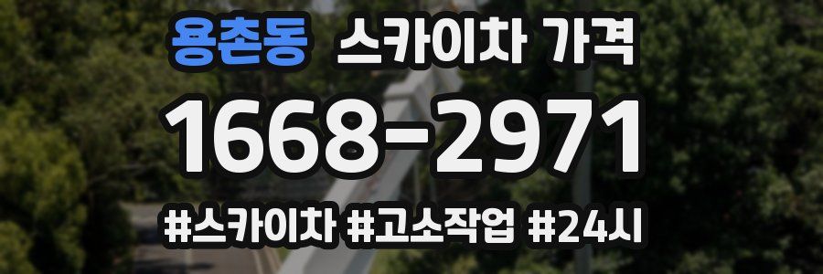 용촌동 스카이차 가격