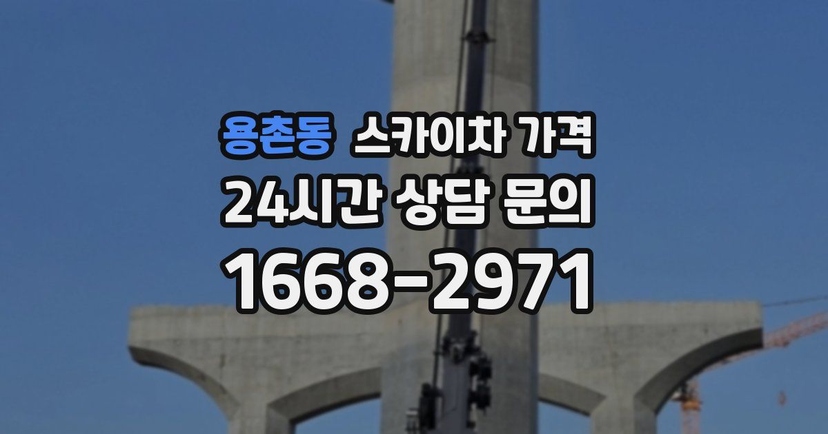 용촌동 스카이차 가격