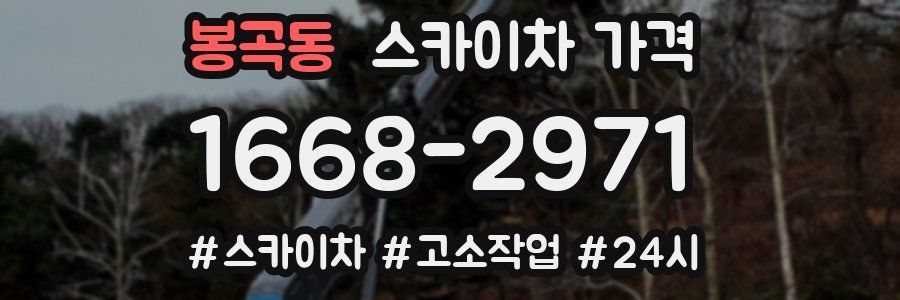 봉곡동 스카이차 가격