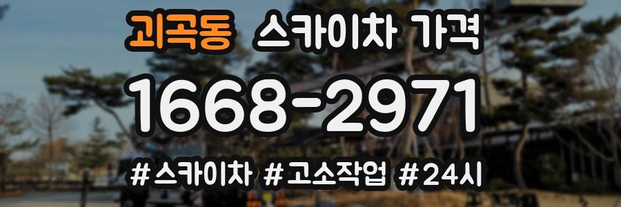 괴곡동 스카이차 가격