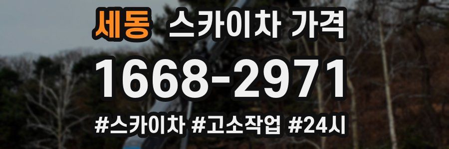 세동 스카이차 가격