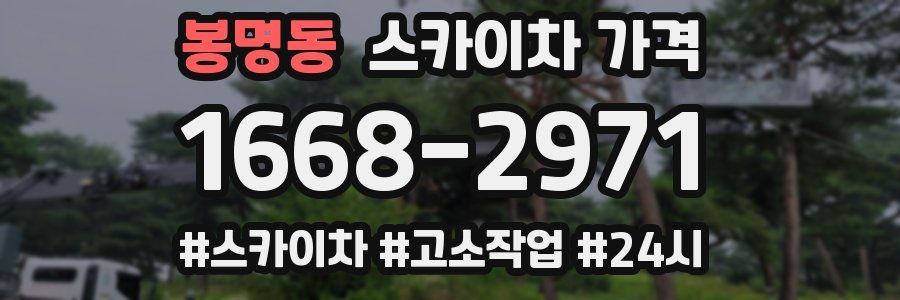 봉명동 스카이차 가격