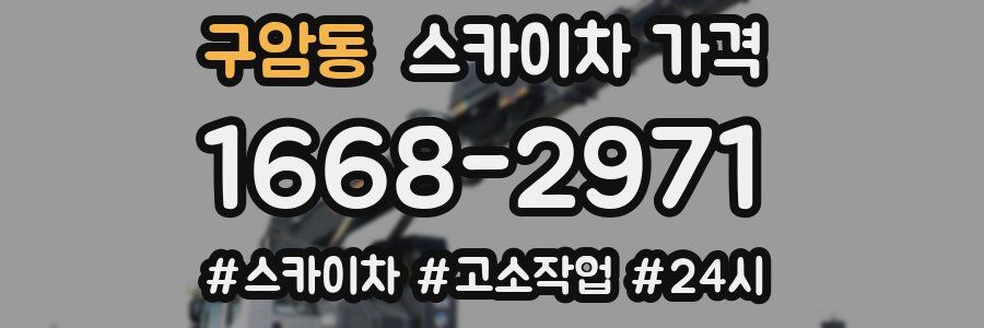 구암동 스카이차 가격