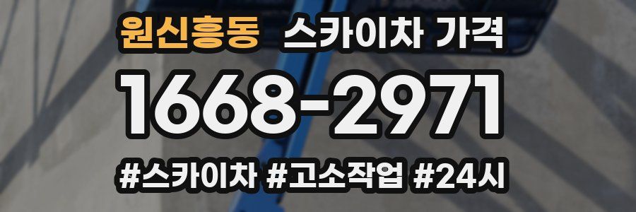 원신흥동 스카이차 가격