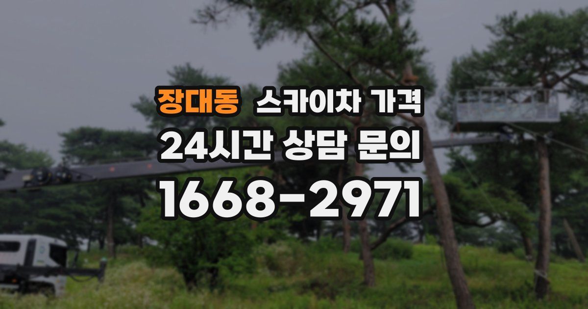 장대동 스카이차 가격