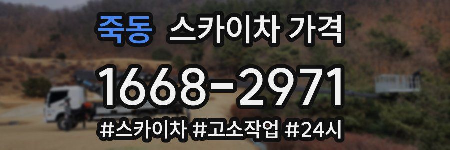 죽동 스카이차 가격