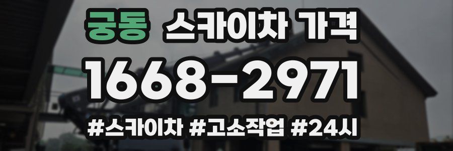 궁동 스카이차 가격