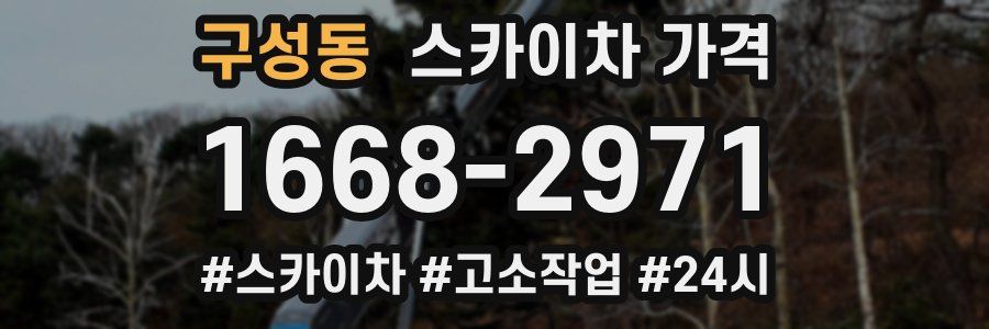 구성동 스카이차 가격