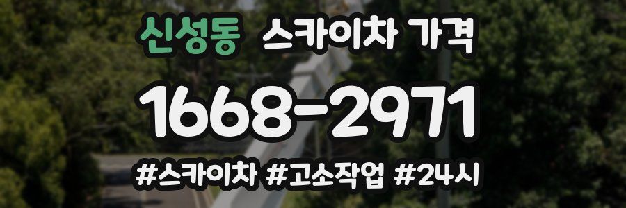 신성동 스카이차 가격
