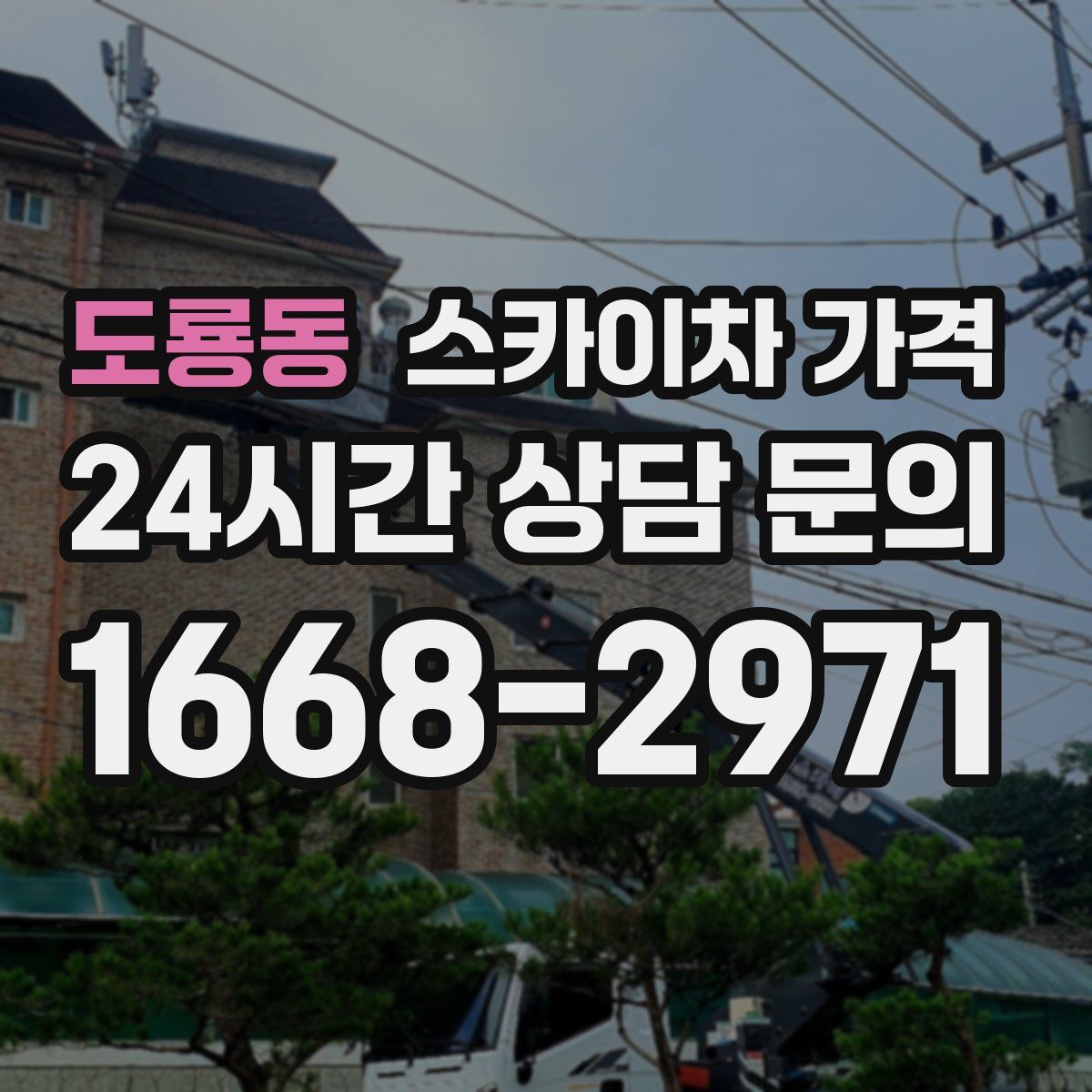 도룡동 스카이차 가격