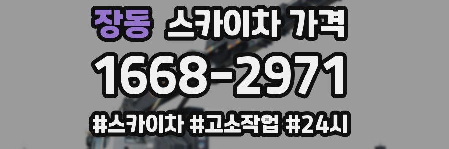 장동 스카이차 가격