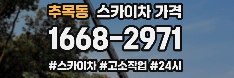 추목동 스카이차 가격