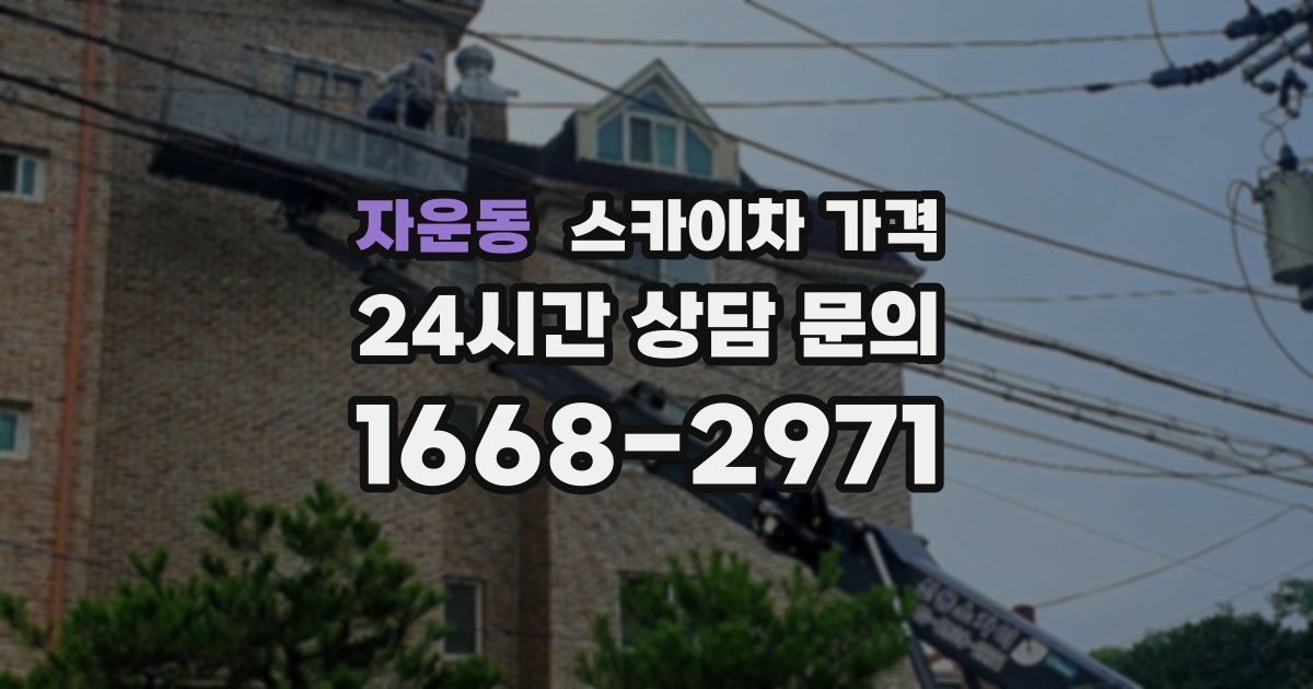 자운동 스카이차 가격