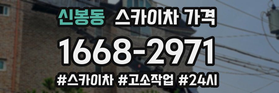 신봉동 스카이차 가격