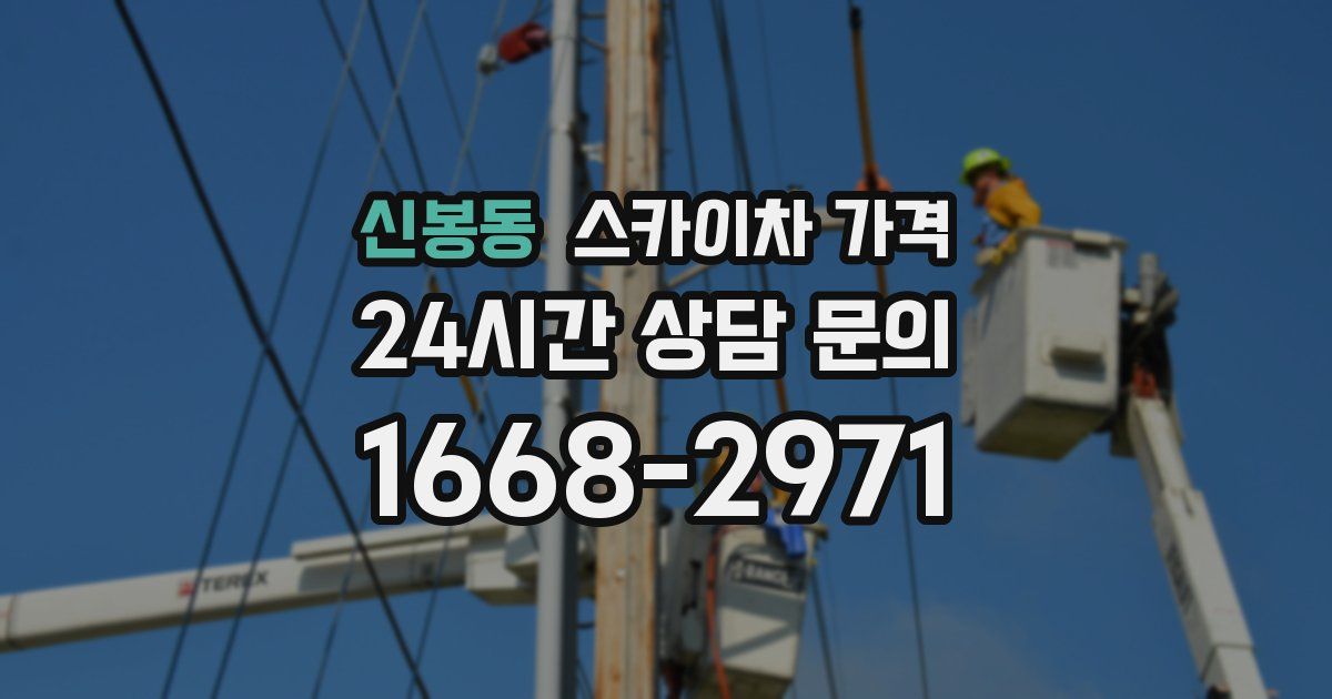 신봉동 스카이차 가격