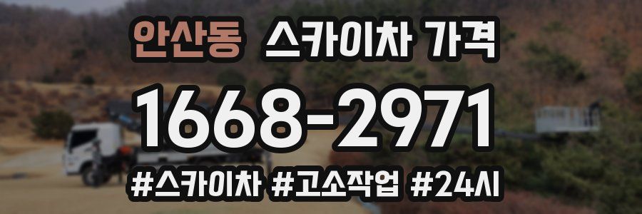 안산동 스카이차 가격