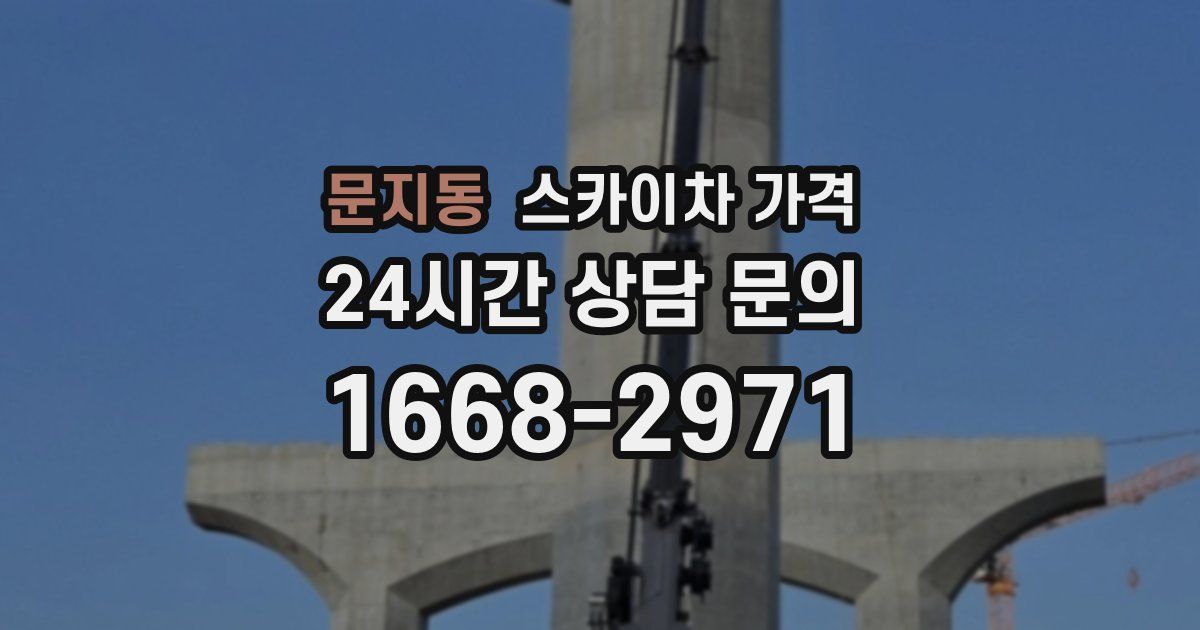 문지동 스카이차 가격