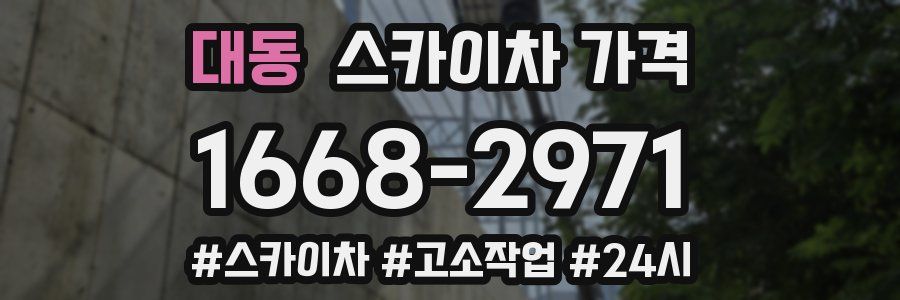 대동 스카이차 가격