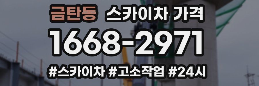 금탄동 스카이차 가격