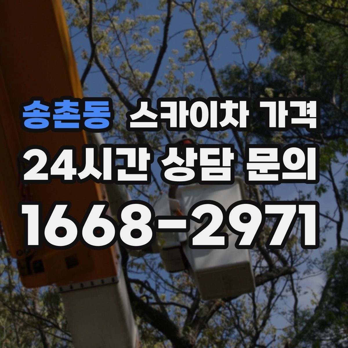 송촌동 스카이차 가격