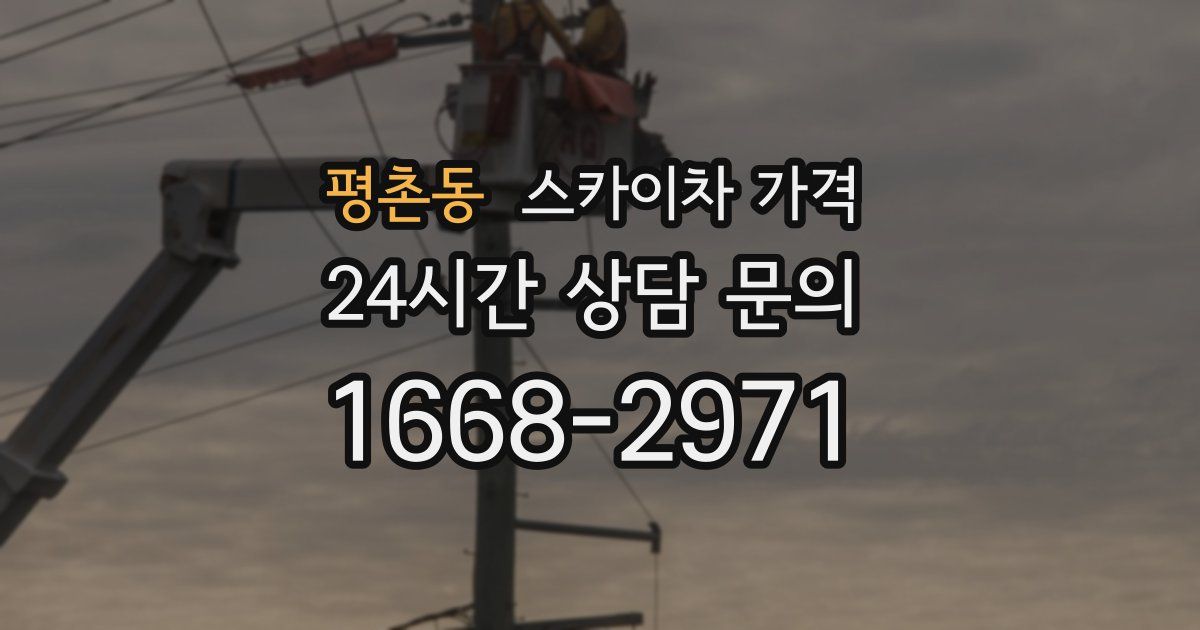 평촌동 스카이차 가격