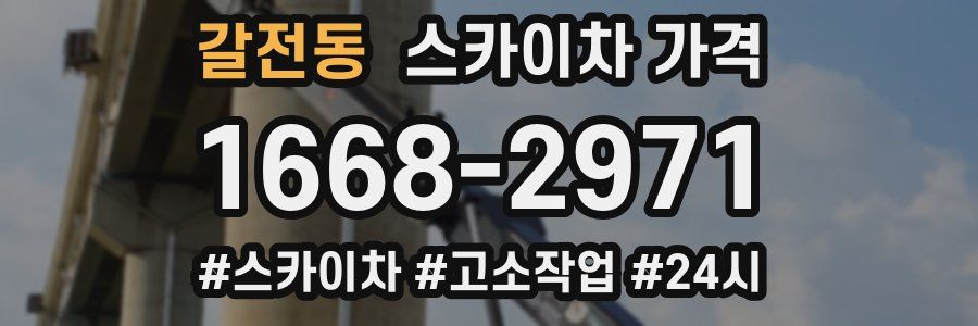 갈전동 스카이차 가격