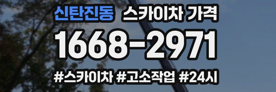 신탄진동 스카이차 가격